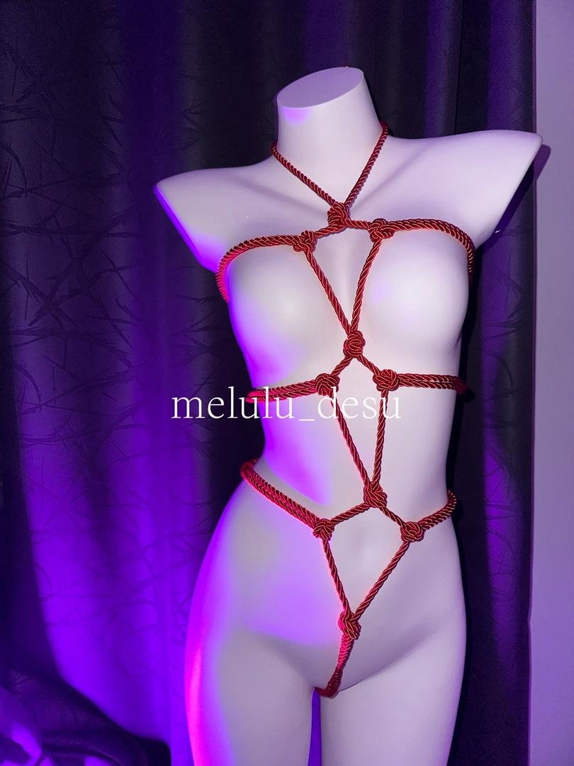 Velvet sin Harness